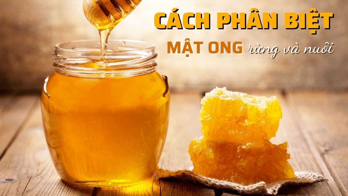 Cách phân biệt mật ong rừng và mật ong nuôi đơn giản